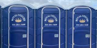 Best Portable Toilets for Disaster Relief Sites  in Ruckersville, VA